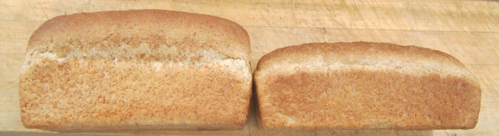 Rapidojet loaf volume difference